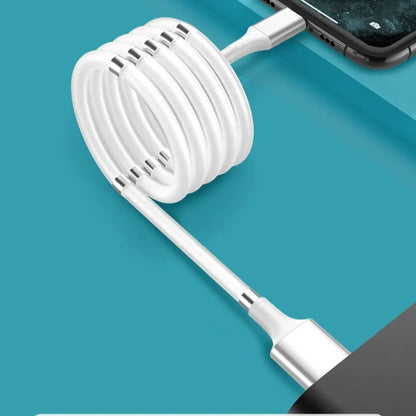 Magnetic Type-C Fast Charging & Data Cable