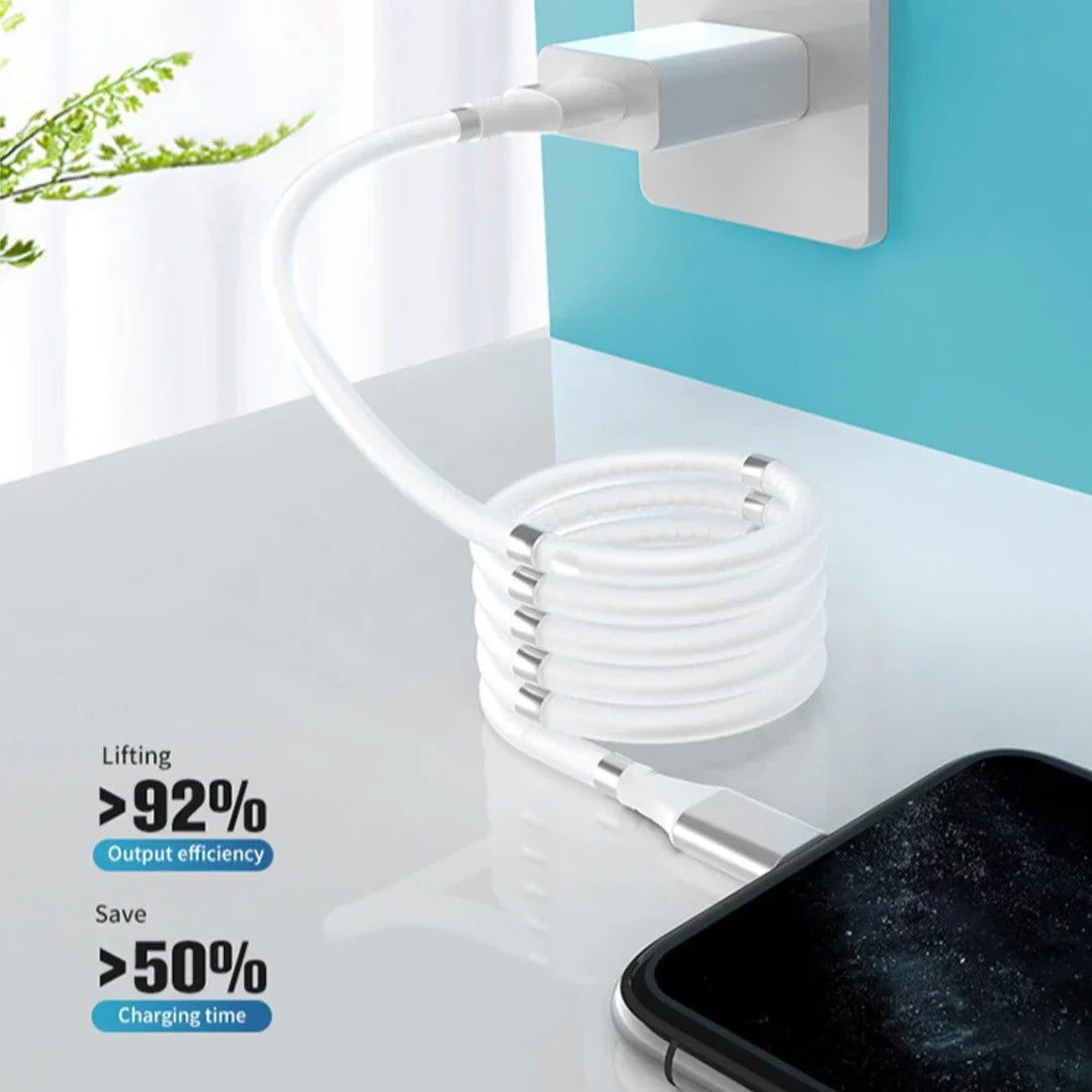 Magnetic Type-C Fast Charging & Data Cable