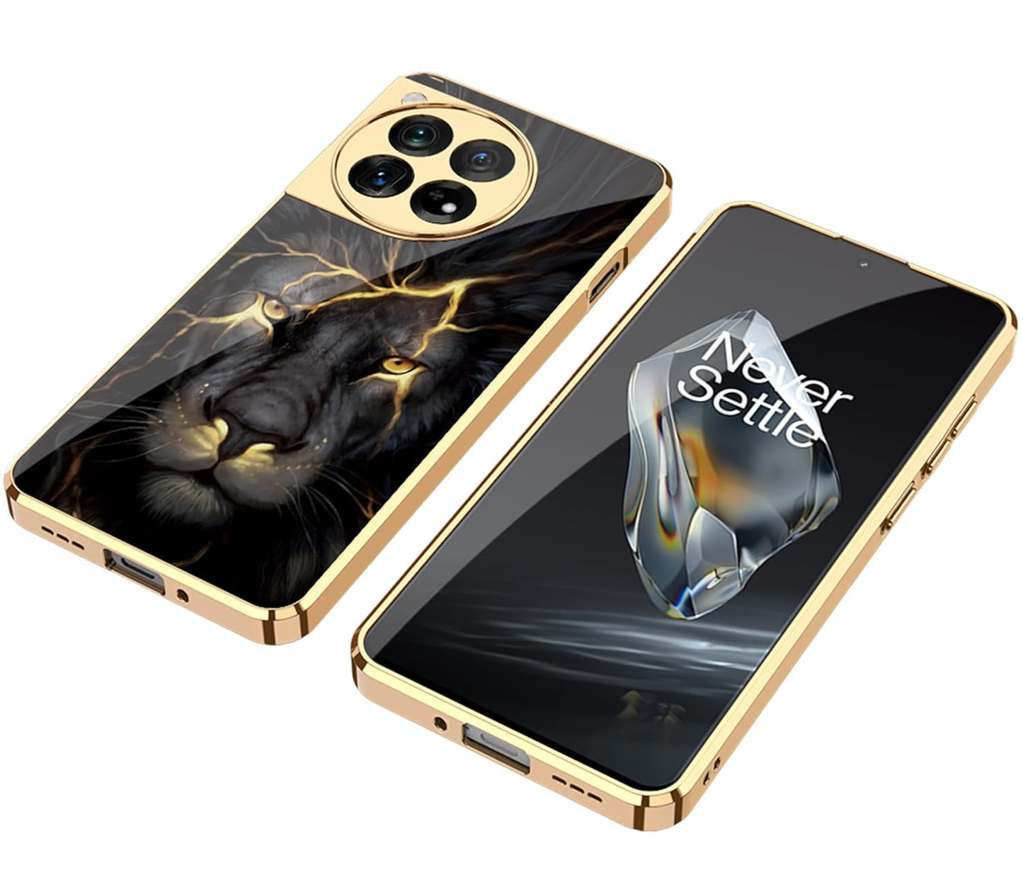 Inspirational Lion Pattern Glass Case  For Oneplus 12